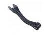Control Arm:20250-FJ000